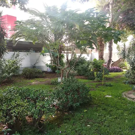 Light And Tranquility In The Heart Of *